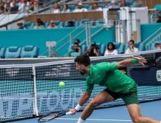 问鼎国际-德约科维奇关键节点问鼎冠军，MAD带队取胜！的简单介绍