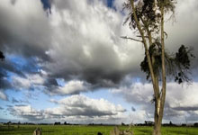 问鼎-包含足总杯集结日再迎强敌，浙江队刷新队史纪录，主帅态度——质疑声仍在，训练强度明显提升的词条