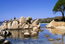 问鼎-包含足总杯集结日再迎强敌，浙江队刷新队史纪录，主帅态度——质疑声仍在，训练强度明显提升的词条