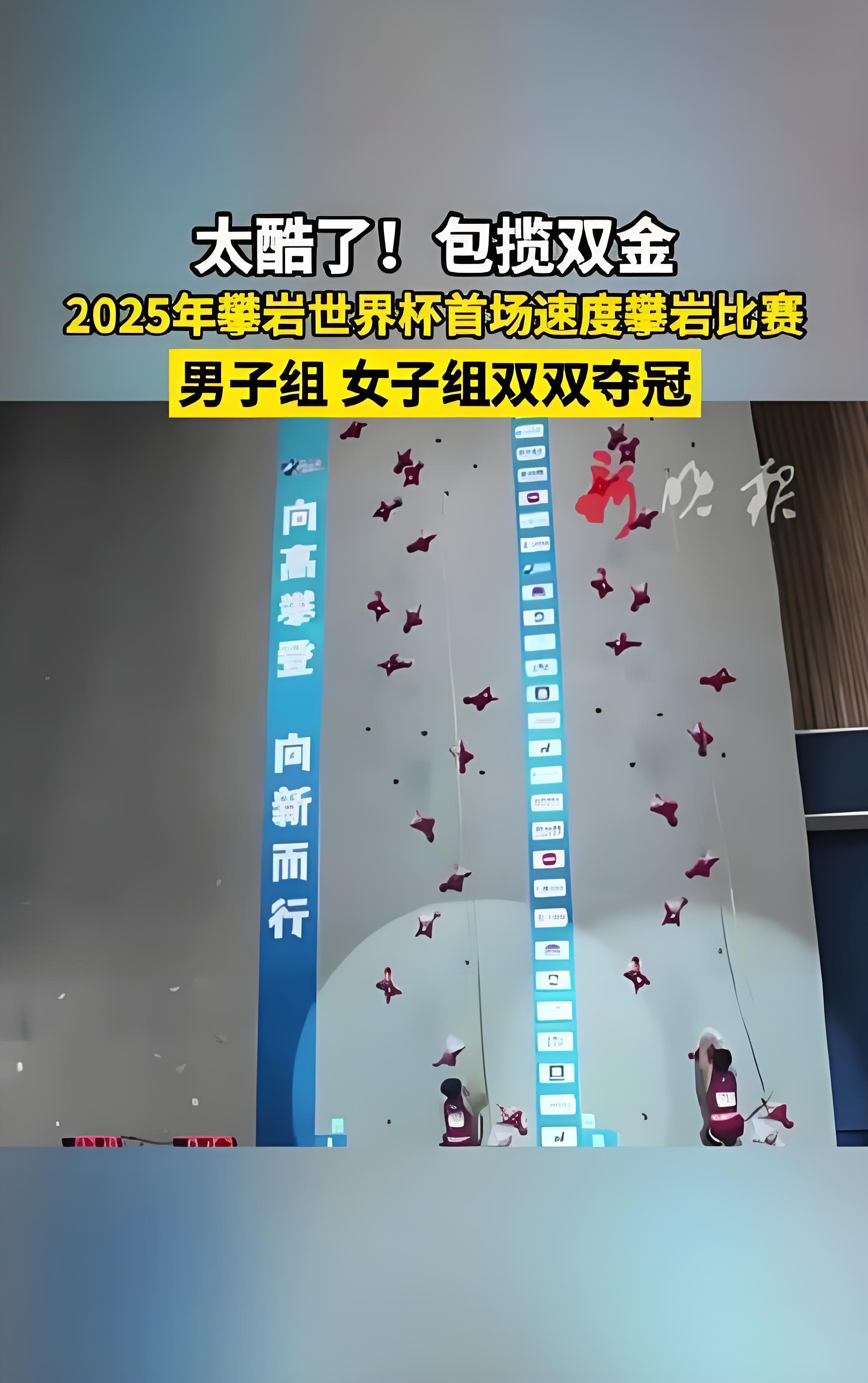 问鼎娱乐- Ning重返赛场,重要助攻首场状态出色,中国队观众沸腾!赛场气氛高涨